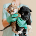 Guantes de esterilización de látex verde desechables